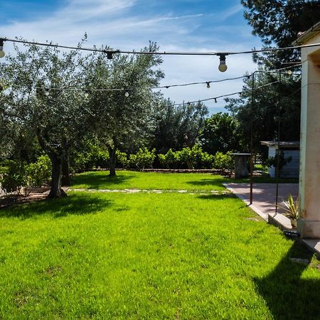 Signor Cesare Agrobistrot B&B San Giovanni Rotondo Ngoại thất bức ảnh