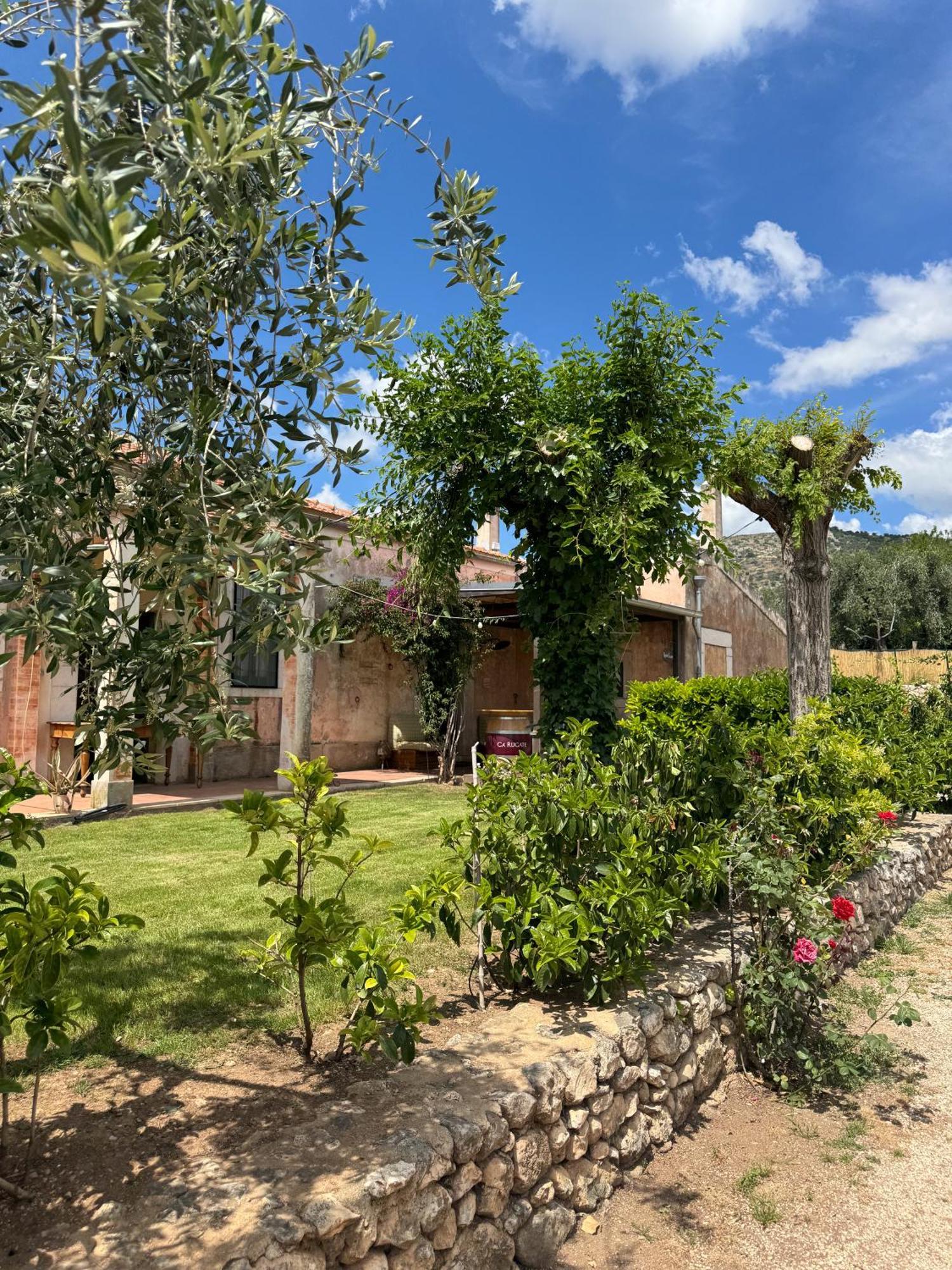 Signor Cesare Agrobistrot B&B San Giovanni Rotondo Ngoại thất bức ảnh