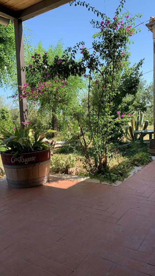 Signor Cesare Agrobistrot B&B San Giovanni Rotondo Ngoại thất bức ảnh